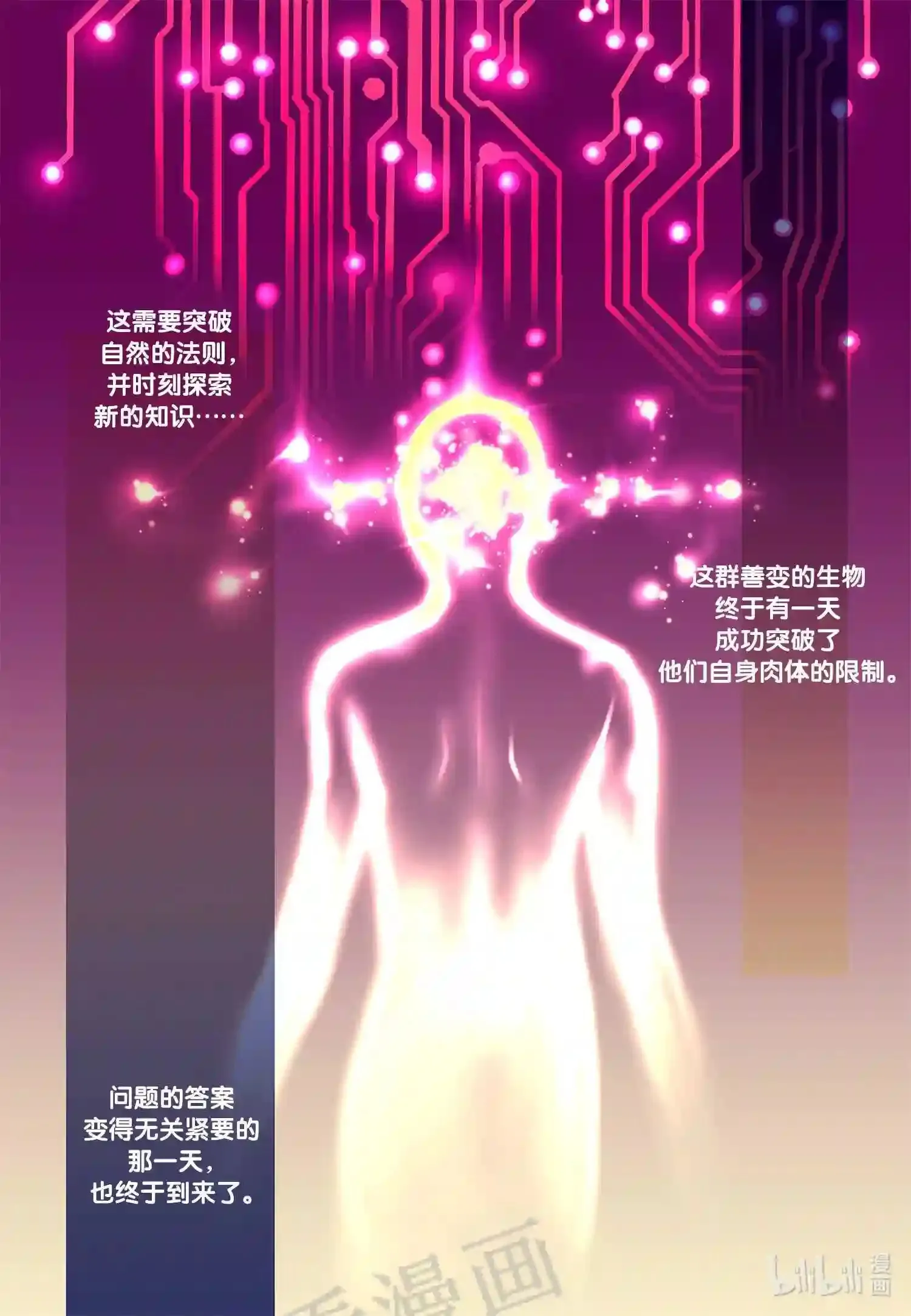 0 试阅3