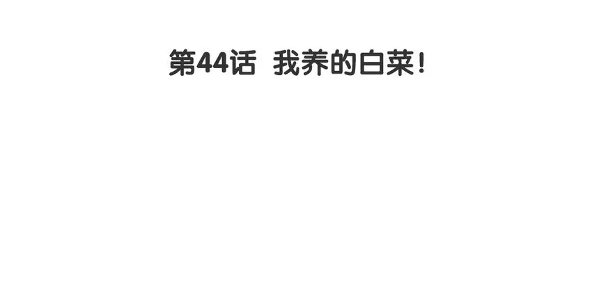 45 第44话 我养的白菜！2