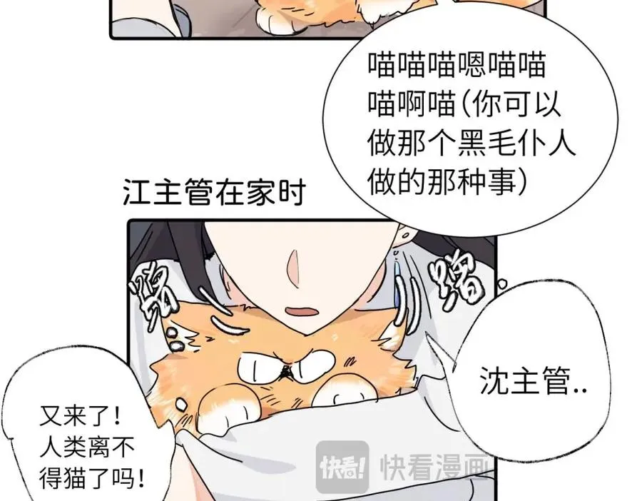 第三十八话 勉强13