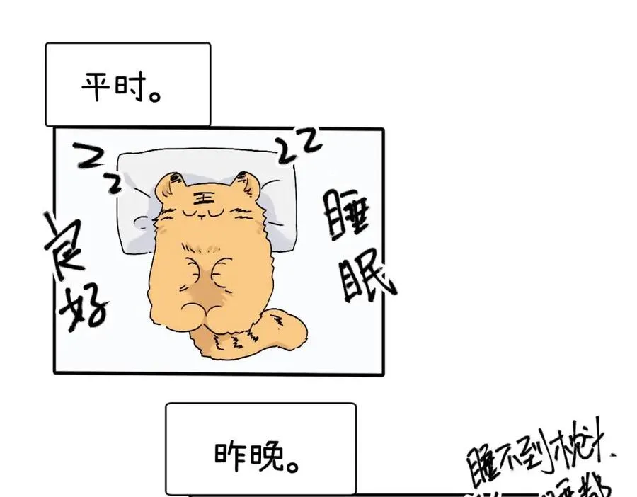 第十八话 离谱5