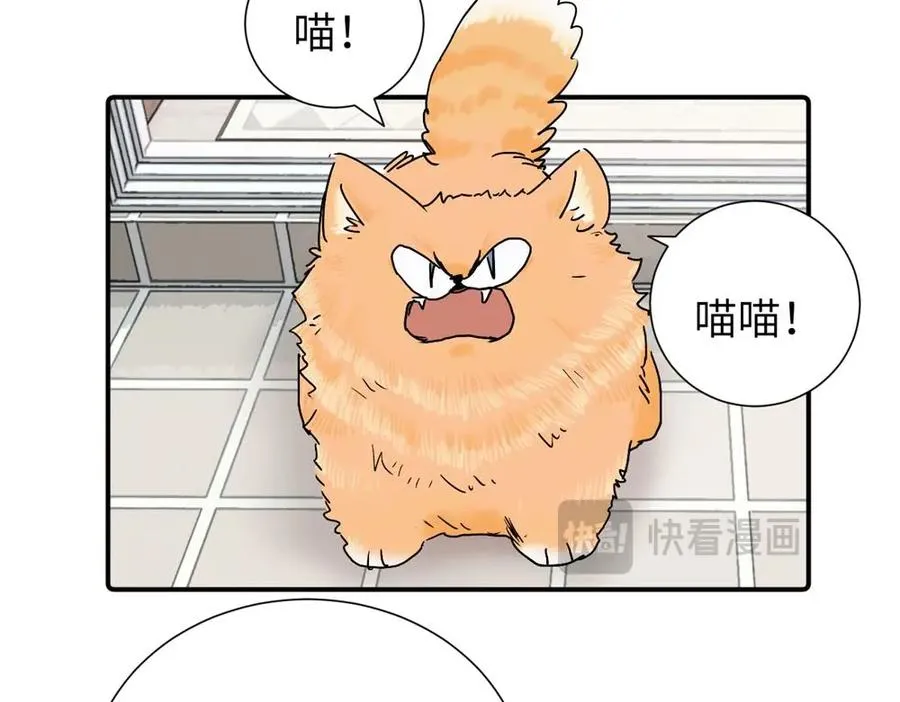 第三十六话 上司的职责10