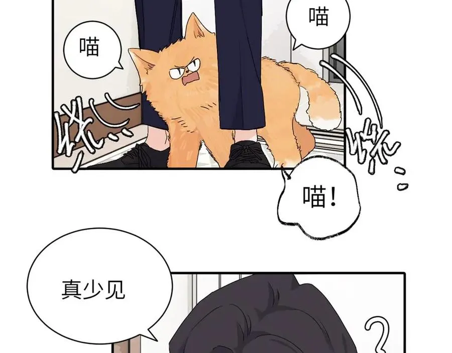 二十五话 试图挽回5