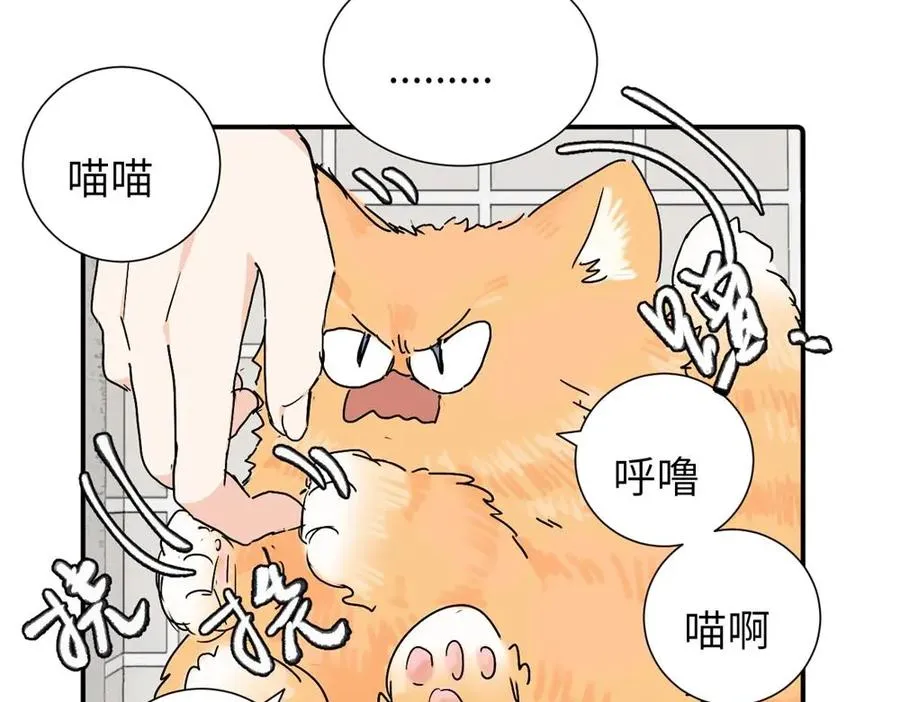 第三十六话 上司的职责19