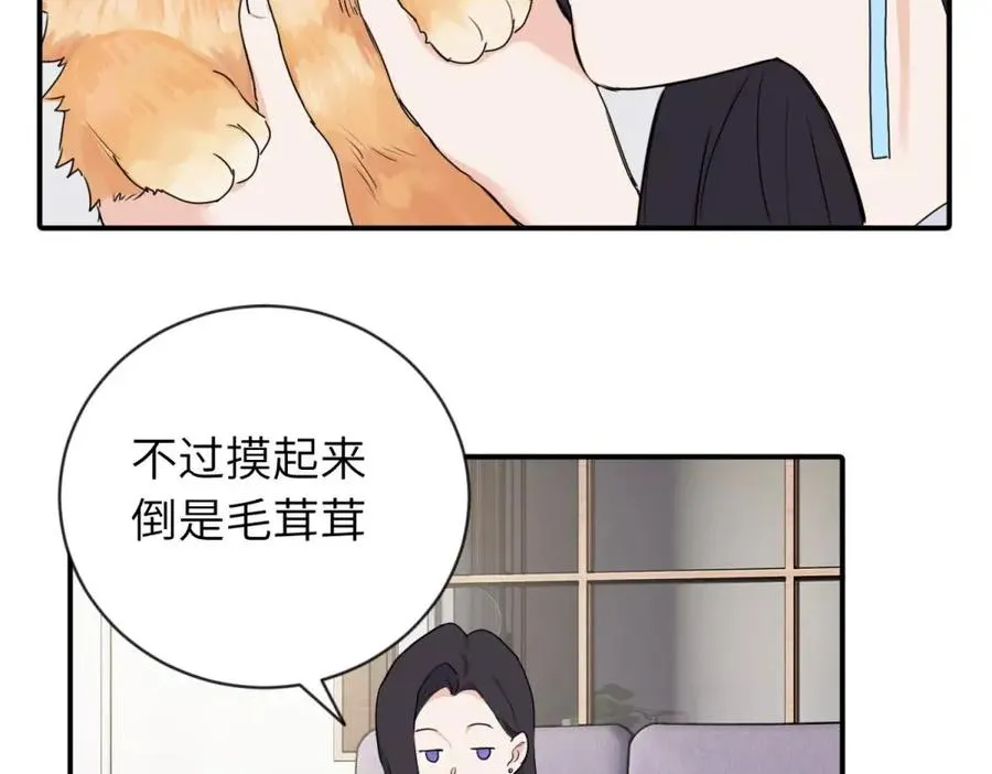 第四话 反正也没说5