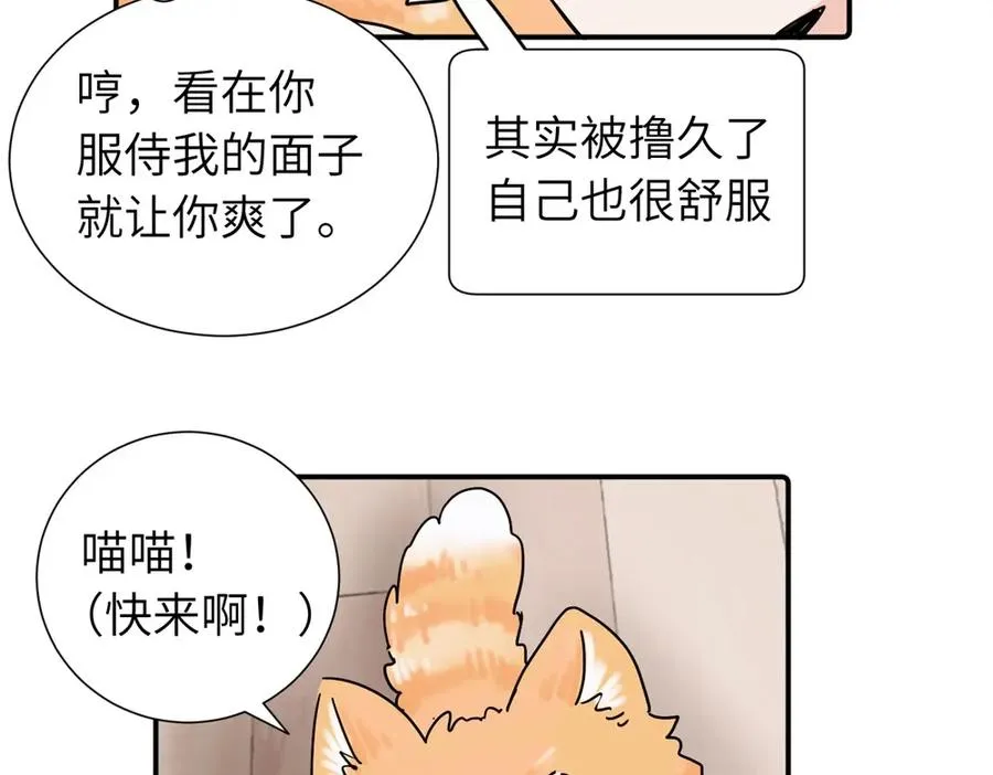 第三十八话 勉强16