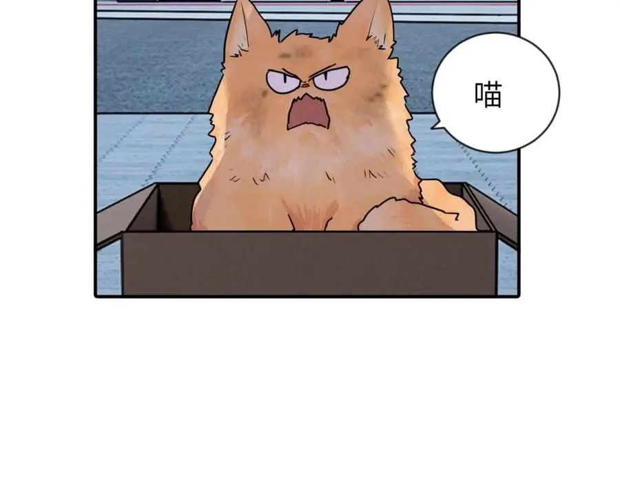 第三话 还挺有趣的65