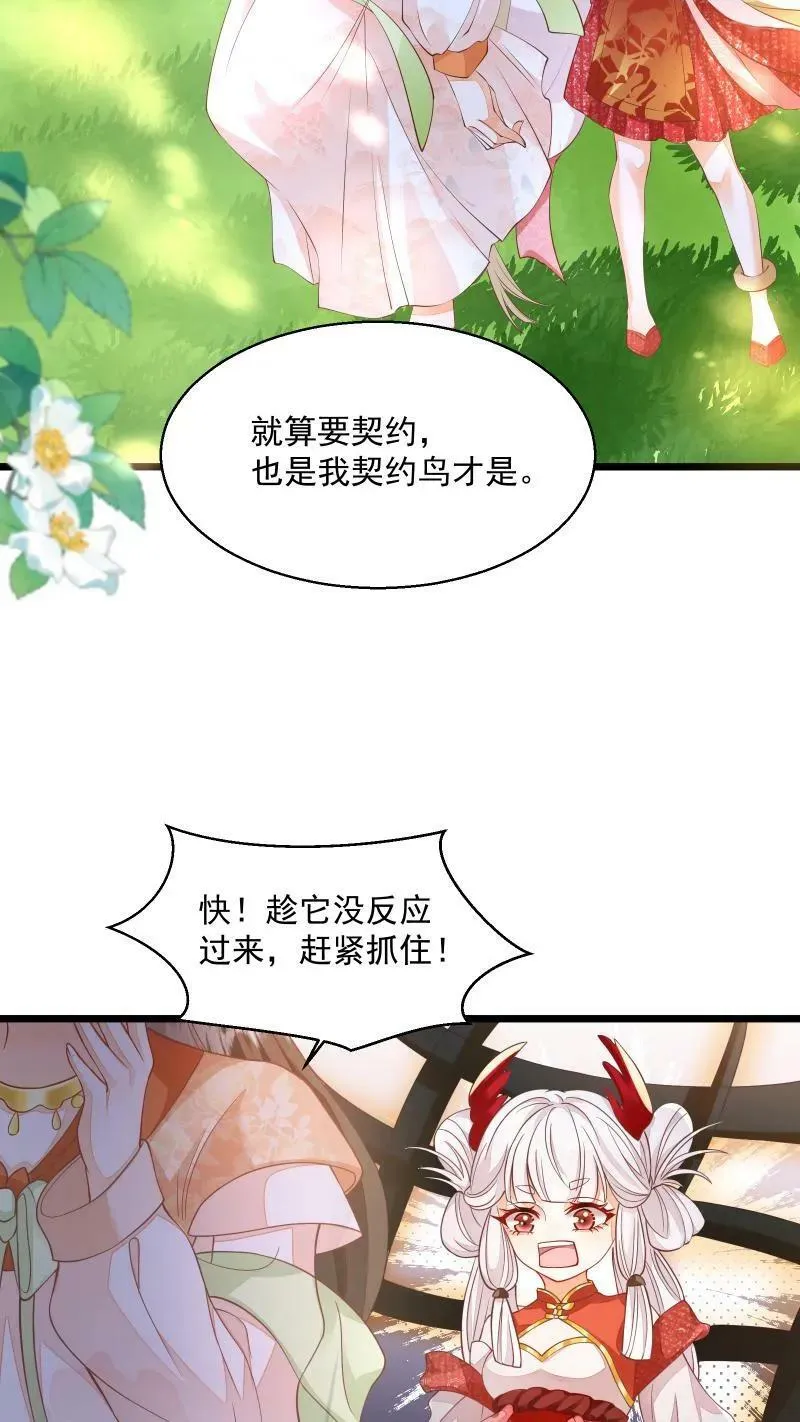 第5话 这破鸟想当我主人17