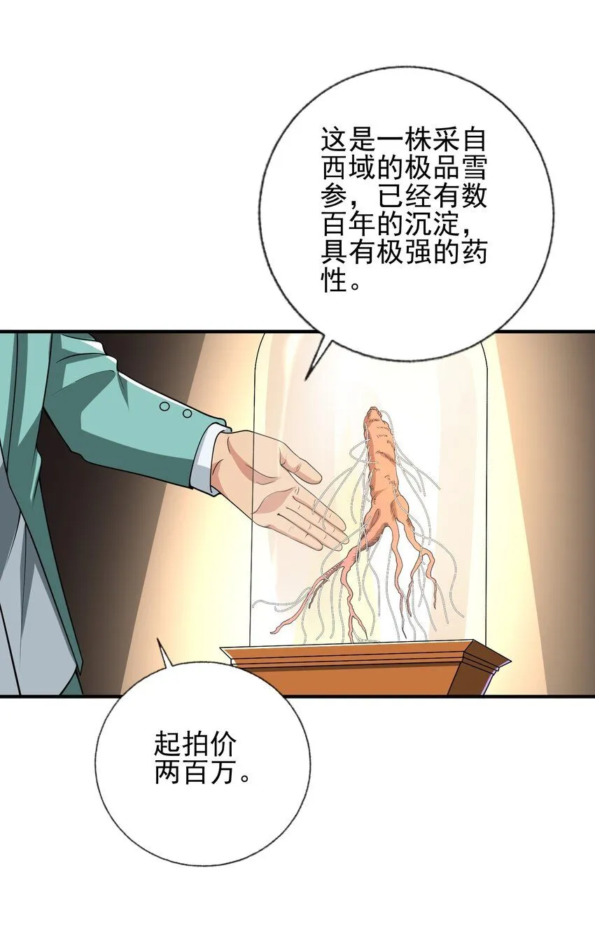 14 千年灵芝19