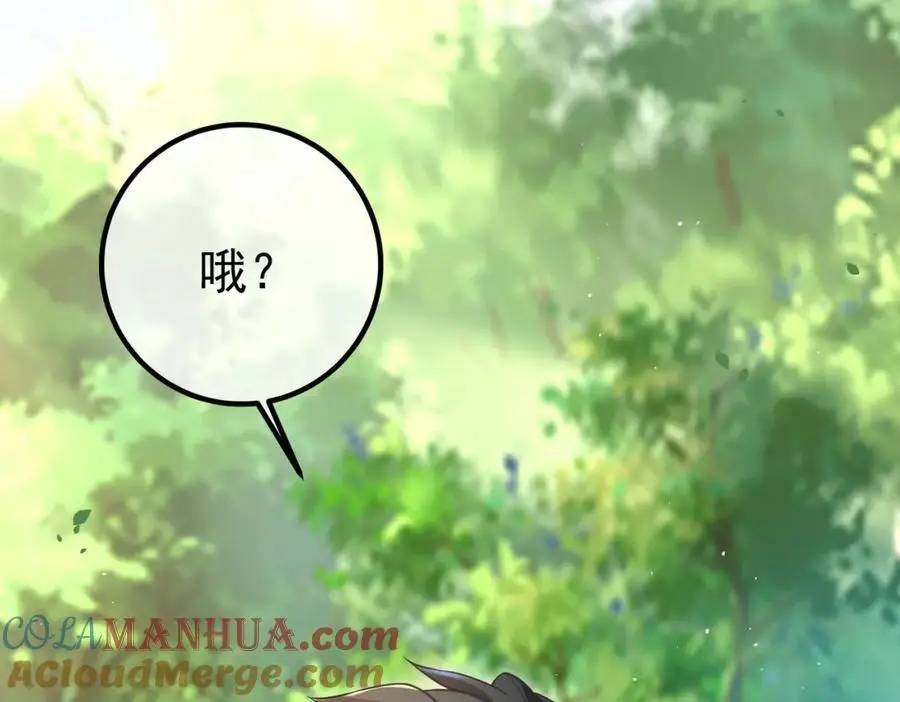 47 苏家的秘密24