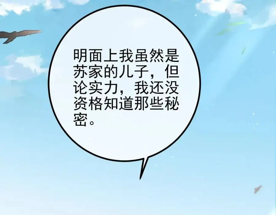 47 苏家的秘密34