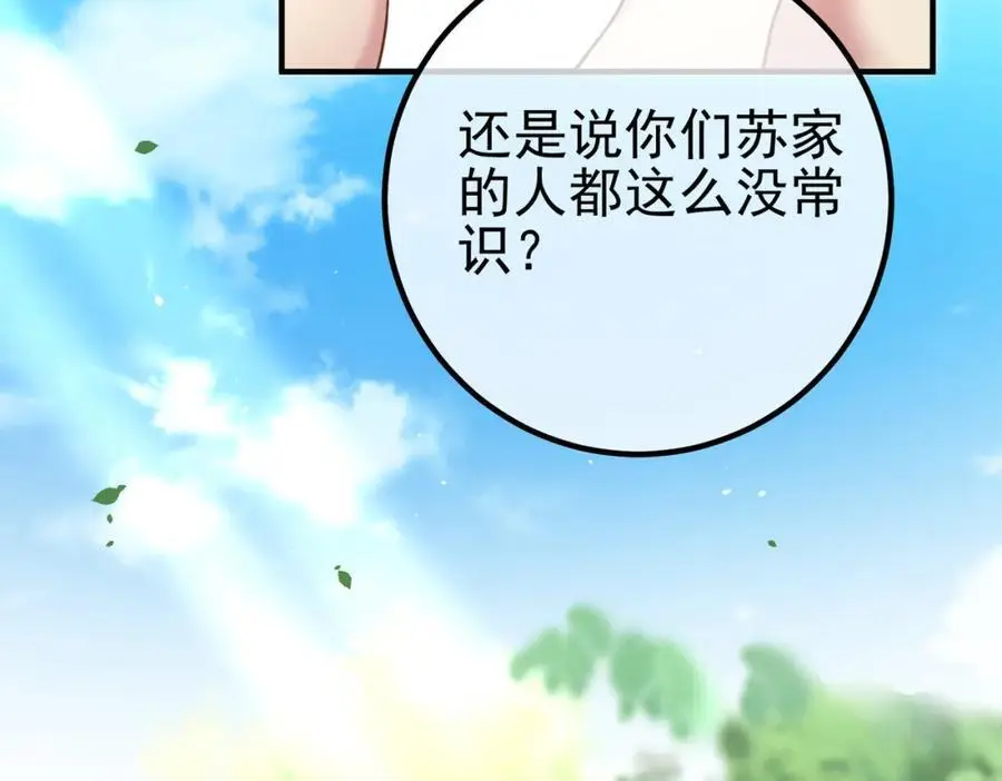 47 苏家的秘密23