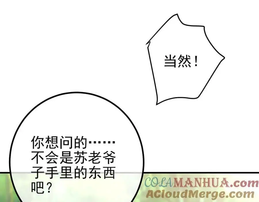 47 苏家的秘密28