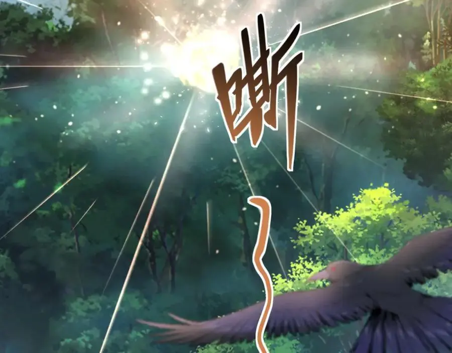 43 药王争夺战（中）—迷雾森林111