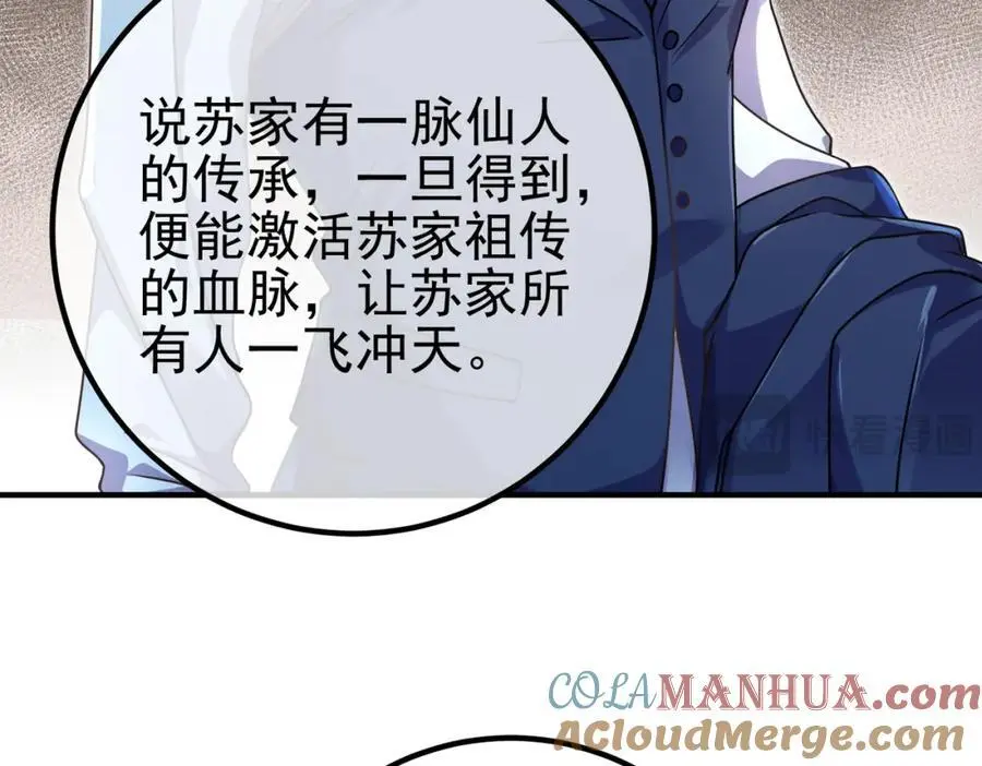 47 苏家的秘密44