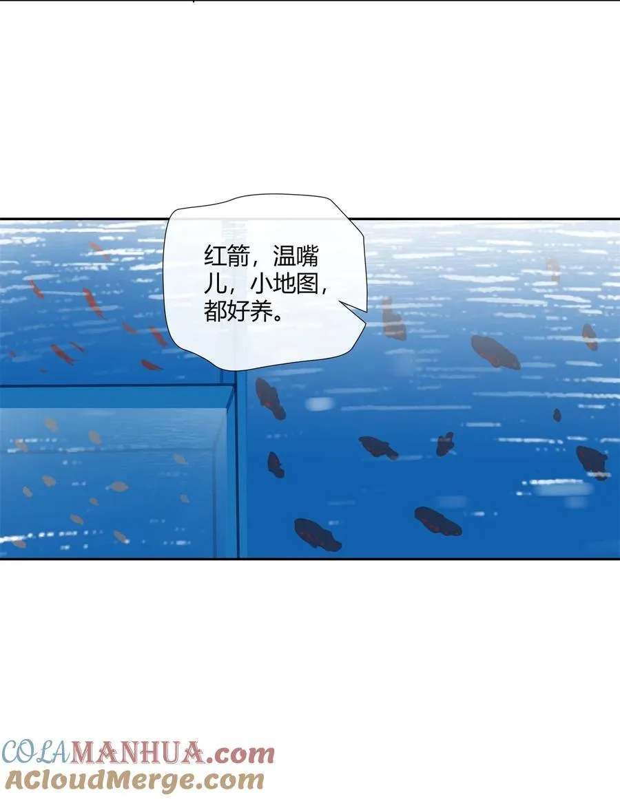 75 来踢馆14