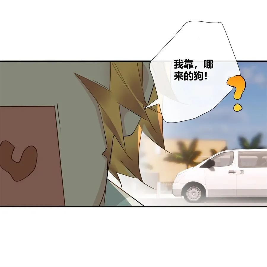 75 来踢馆5