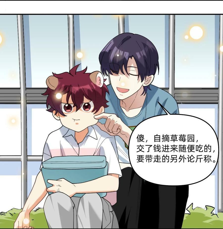 051 草莓园11