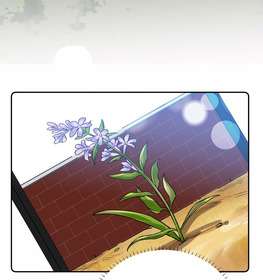 018 不会再爱了40