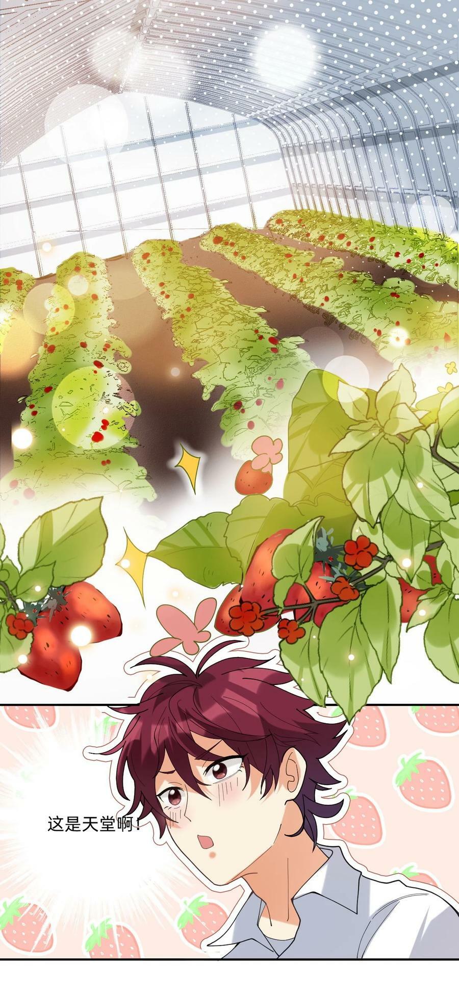 051 草莓园1