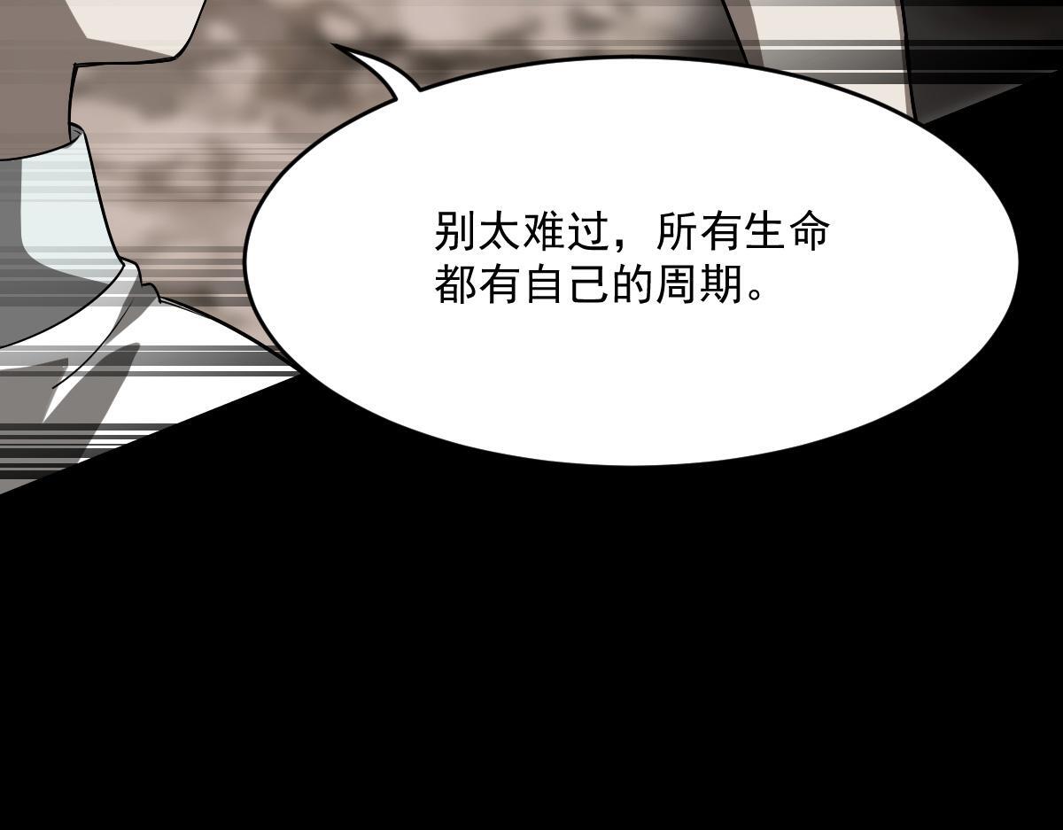 29 记忆水晶111