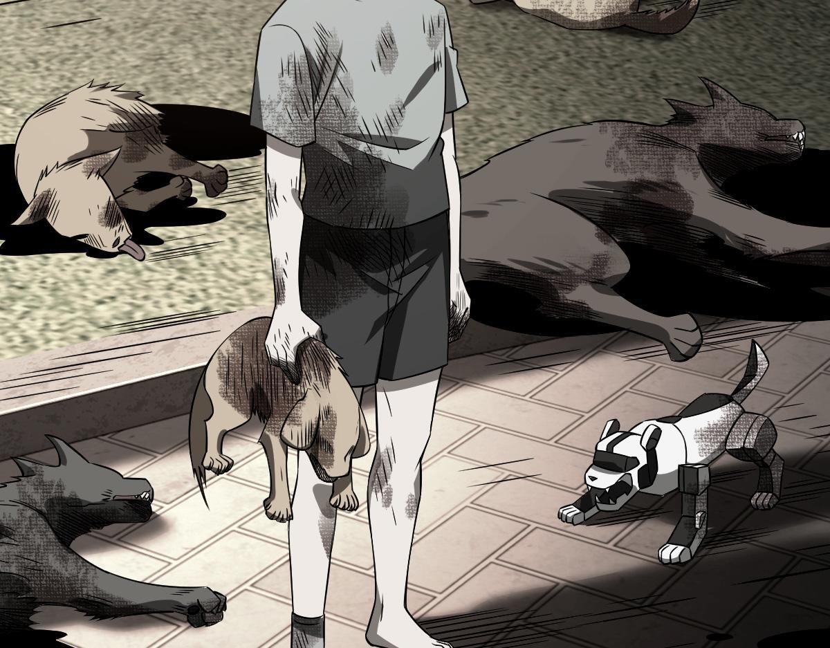 32 小白的身世68