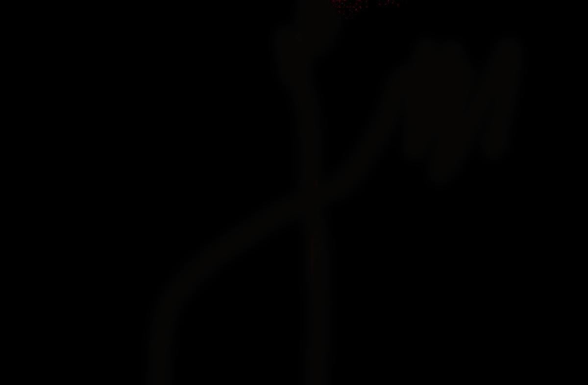 23 另一个自己50