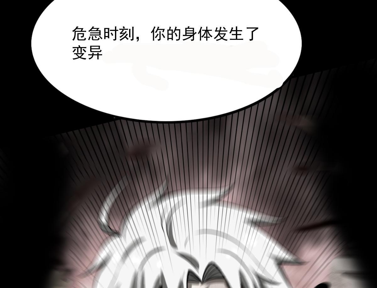 32 小白的身世64
