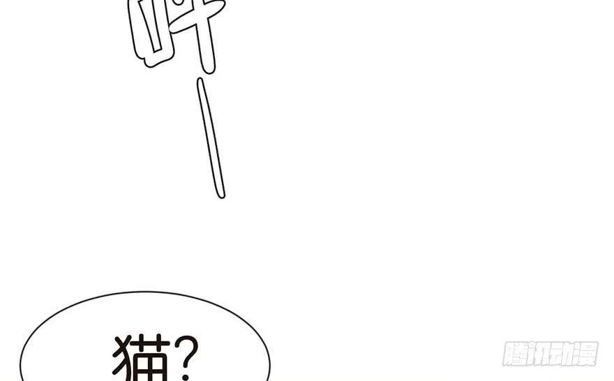 039 我挺喜欢小动物的4