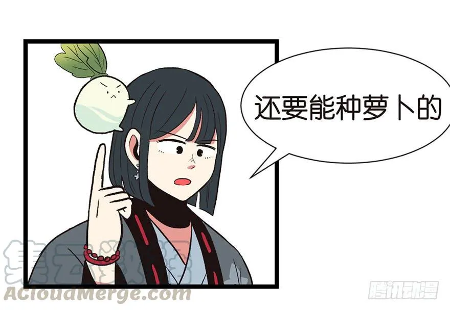 033 无敌派招生了！10