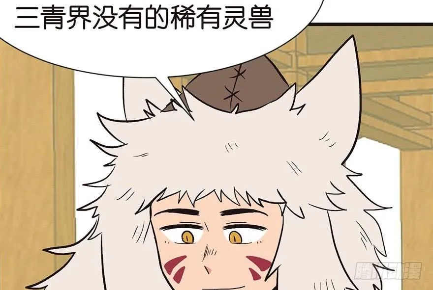 039 我挺喜欢小动物的17
