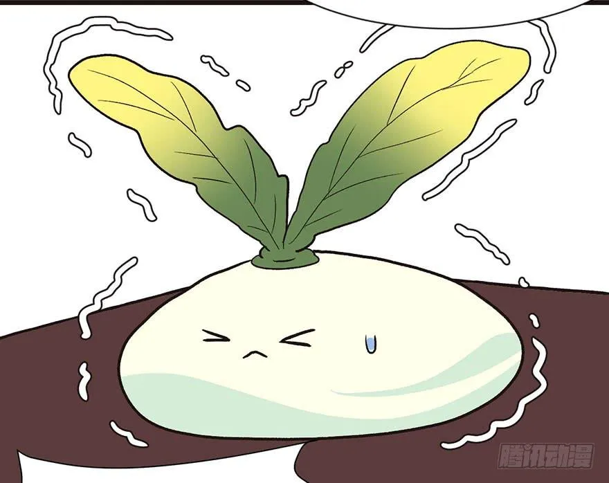 031 沈萤与狗不得进入！49