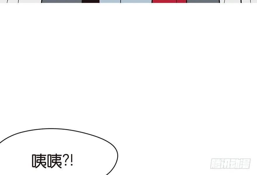 031 沈萤与狗不得进入！11