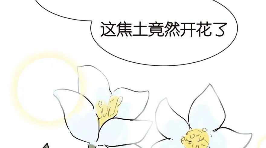 032 草木灵，变身！27