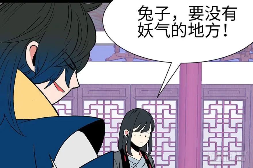 033 无敌派招生了！5