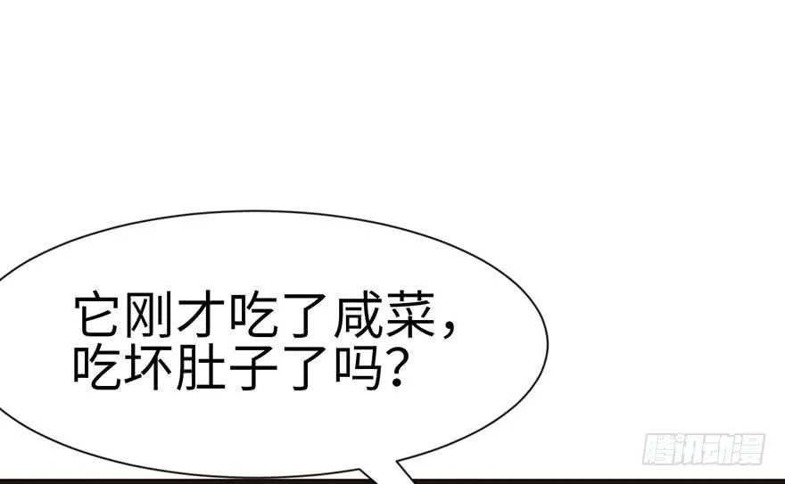 031 沈萤与狗不得进入！54