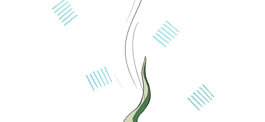 054 海鲜可以生吃！53