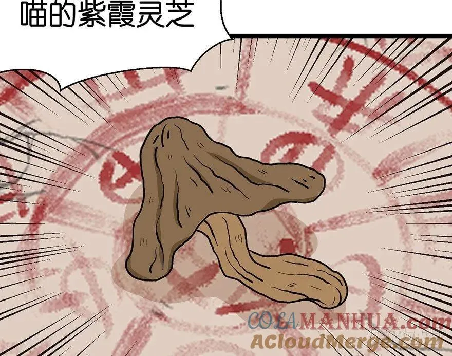 022 人���妖，没有生殖隔离吗12
