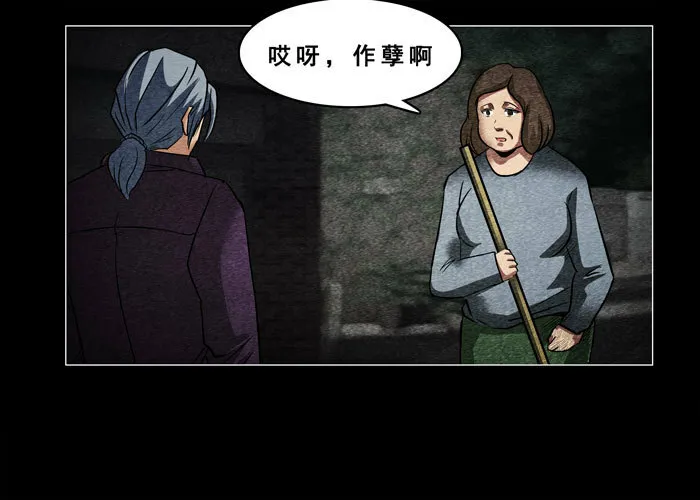 老狗048