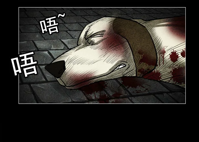 老狗0115