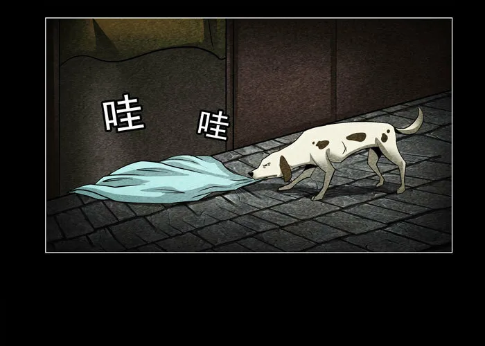 老狗0610