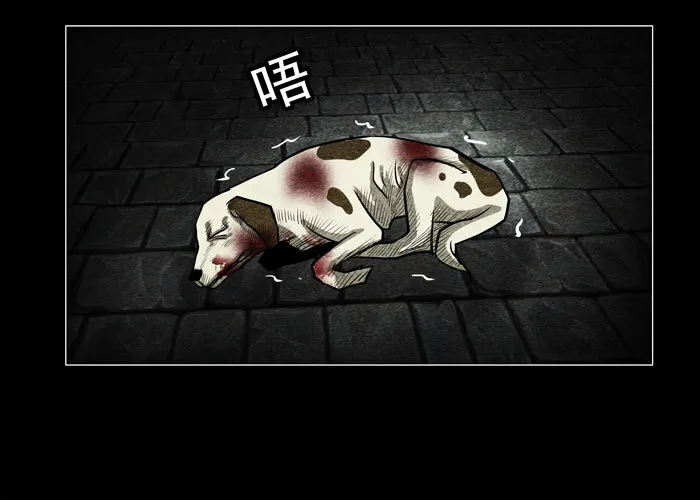 老狗0212