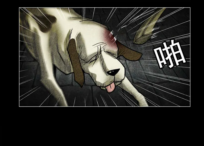 老狗0110