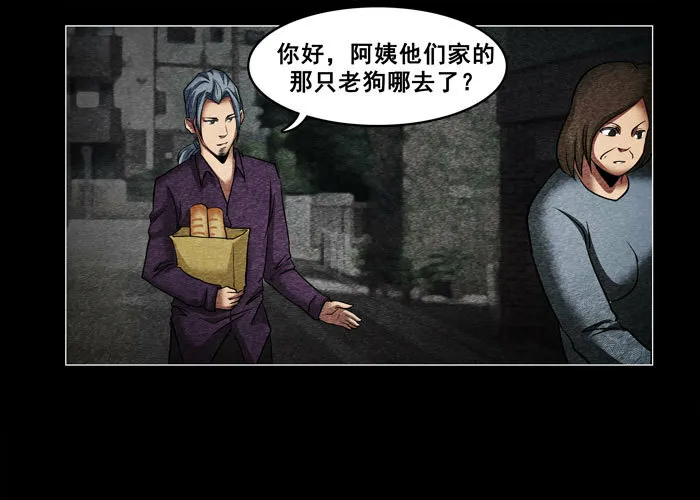 老狗047