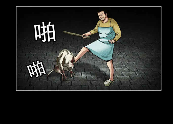 老狗024