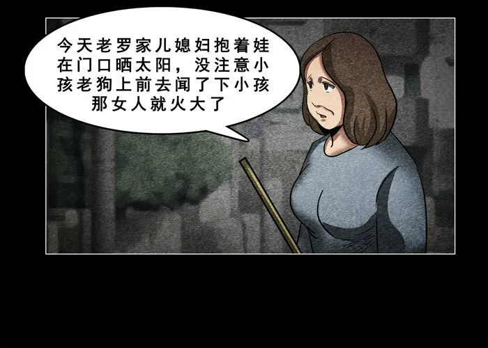 老狗049
