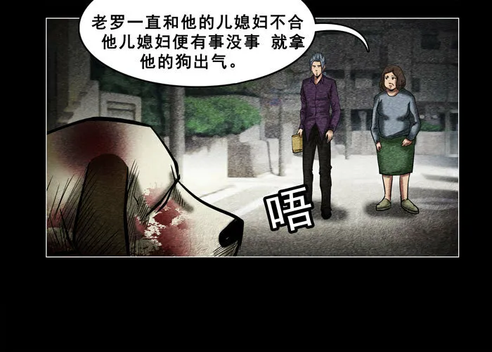 老狗022