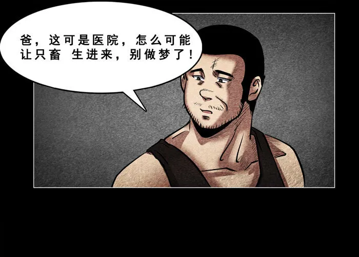 老狗082