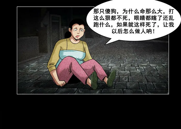 老狗077