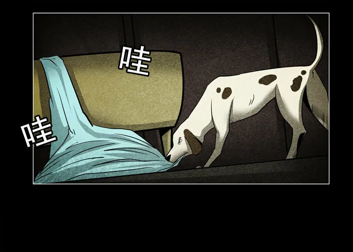 老狗068