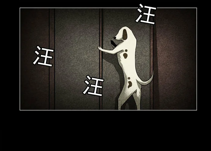 老狗063